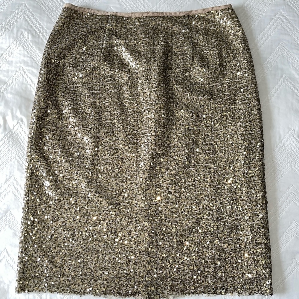 Sequin Skirt
